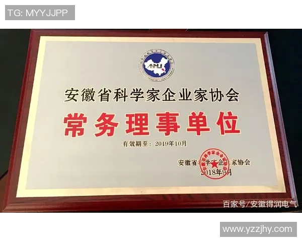 成都乒乓球队转型升级的背后故事与未来发展展望